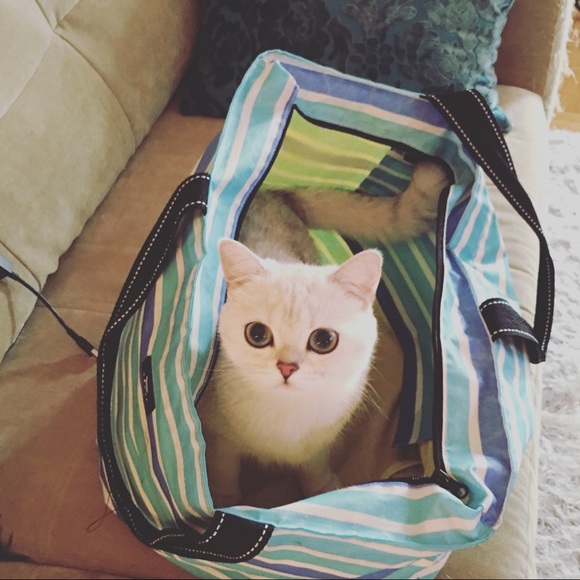 Meet your Posher, Melissa - Picture 2 of 5